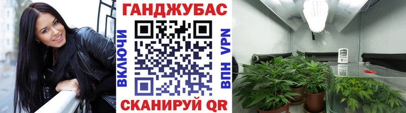 Купить где  Старый Крым  Канабис ГИДРОПОН 